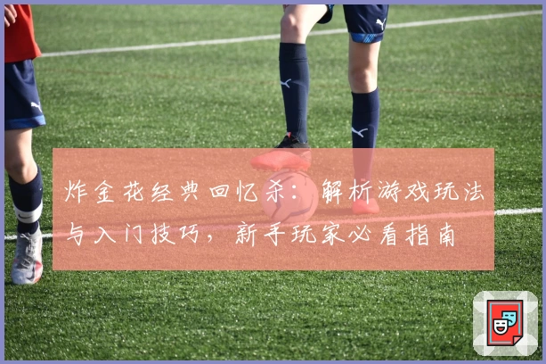 炸金花经典回忆杀：解析游戏玩法与入门技巧，新手玩家必看指南