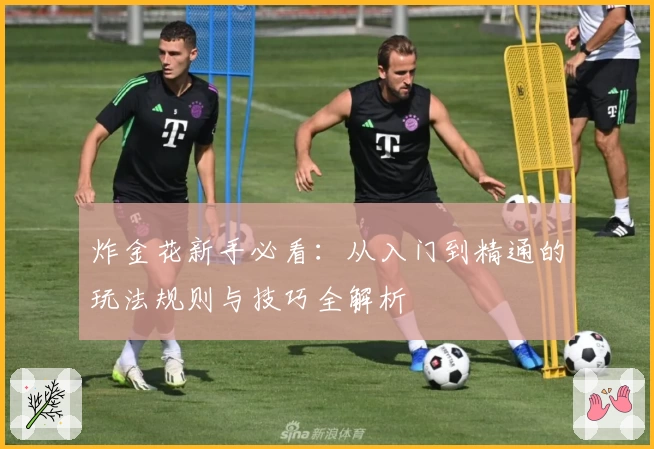炸金花新手必看:从入门到精通的玩法规则与技巧全解析
