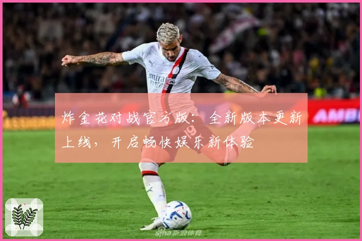 炸金花对战官方版：全新版本更新上线，开启畅快娱乐新体验