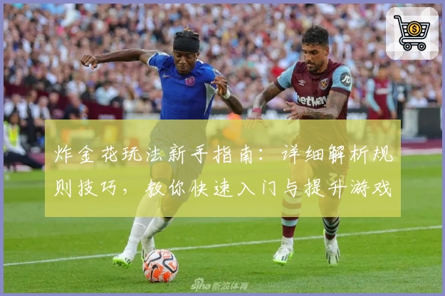 炸金花玩法新手指南：详细解析规则技巧，教你快速入门与提升游戏体验
