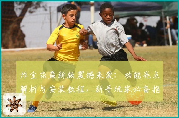 炸金花最新版震撼来袭：功能亮点解析与安装教程，新手玩家必备指南