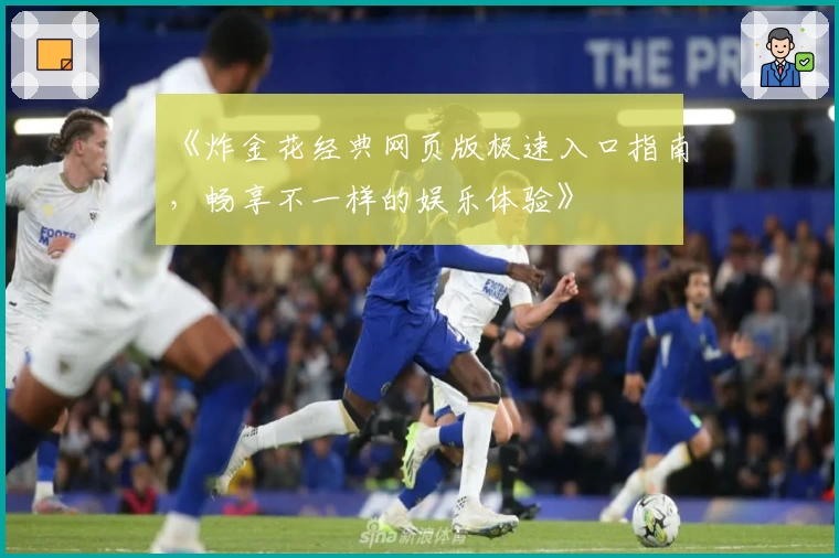 《炸金花经典网页版极速入口指南，畅享不一样的娱乐体验》