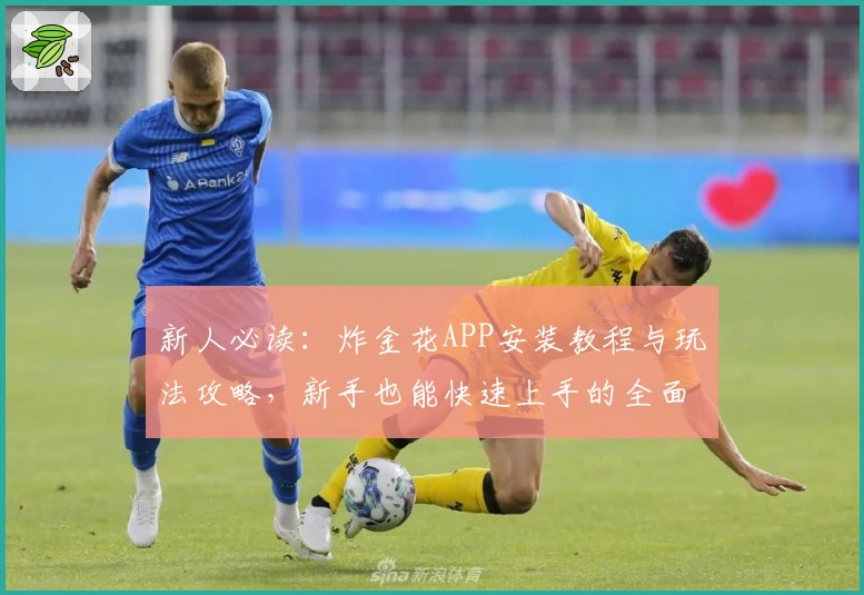 新人必读:炸金花APP安装教程与玩法攻略,新手也能快速上手的全面指南