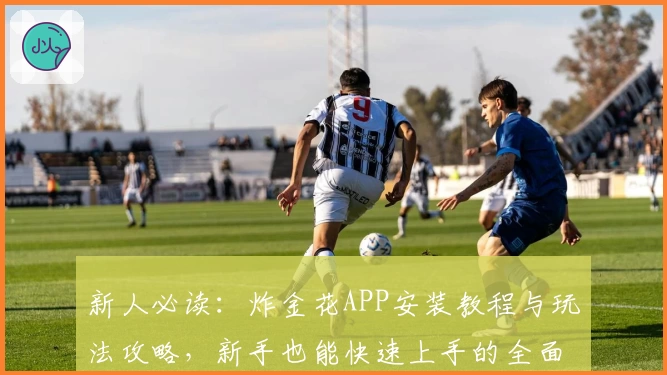 新人必读：炸金花APP安装教程与玩法攻略，新手也能快速上手的全面指南